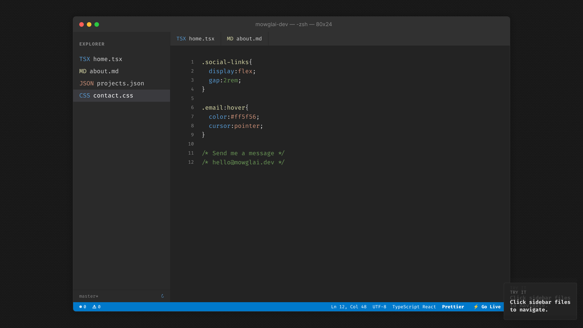 Developer - View 4